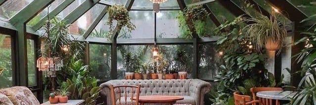 Shana Deeter🥏 banner