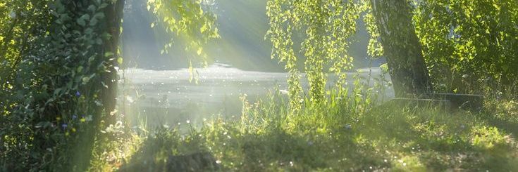 lostangeli's profile banner image