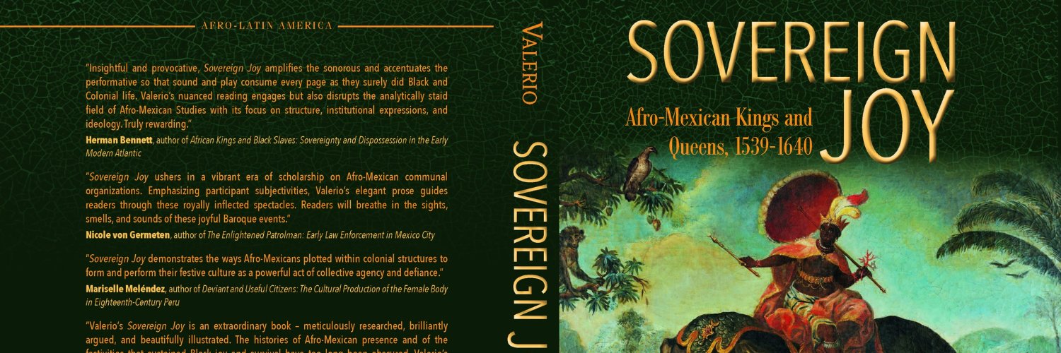 Miguel A. Valerio's banner