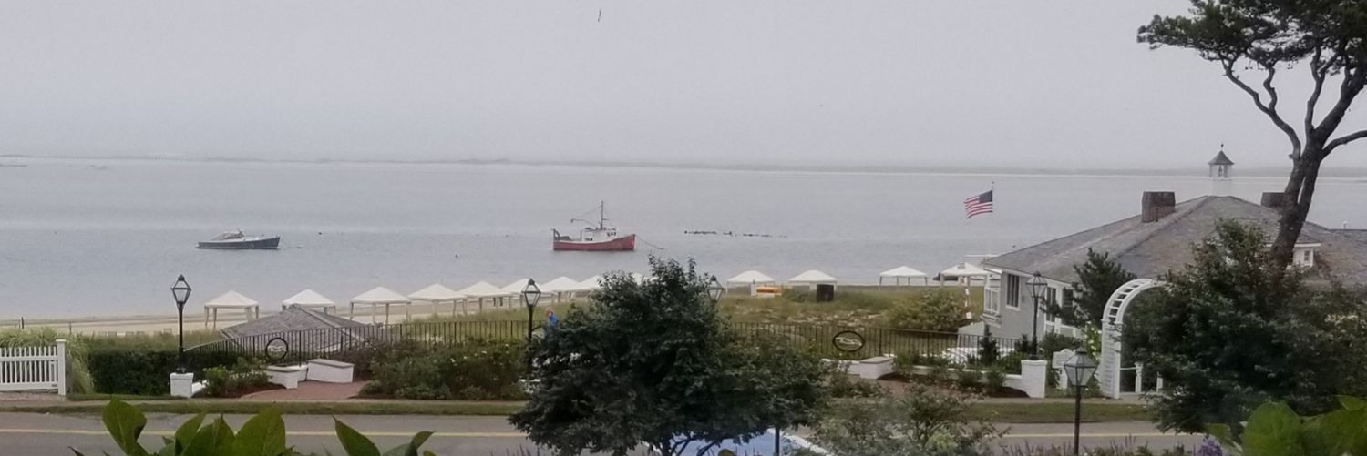 Mrs. Born 🇺🇸🇺🇸🦅🇺🇸🇺🇸🇺🇸🇺🇸🌞🌴🌴 banner