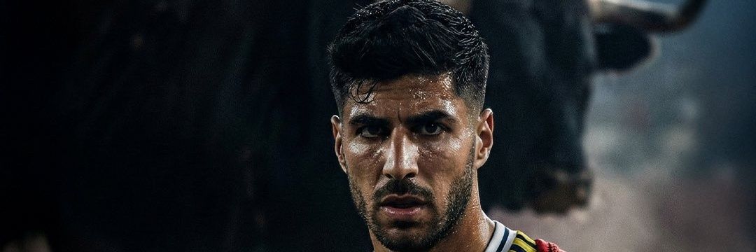 TuqayEREN's profile banner image