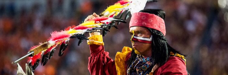 Flyswatter_Boi1's profile banner image