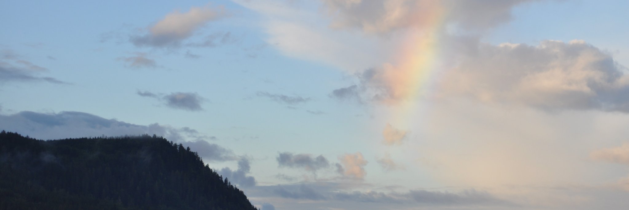 NancyMurrayz's profile banner image