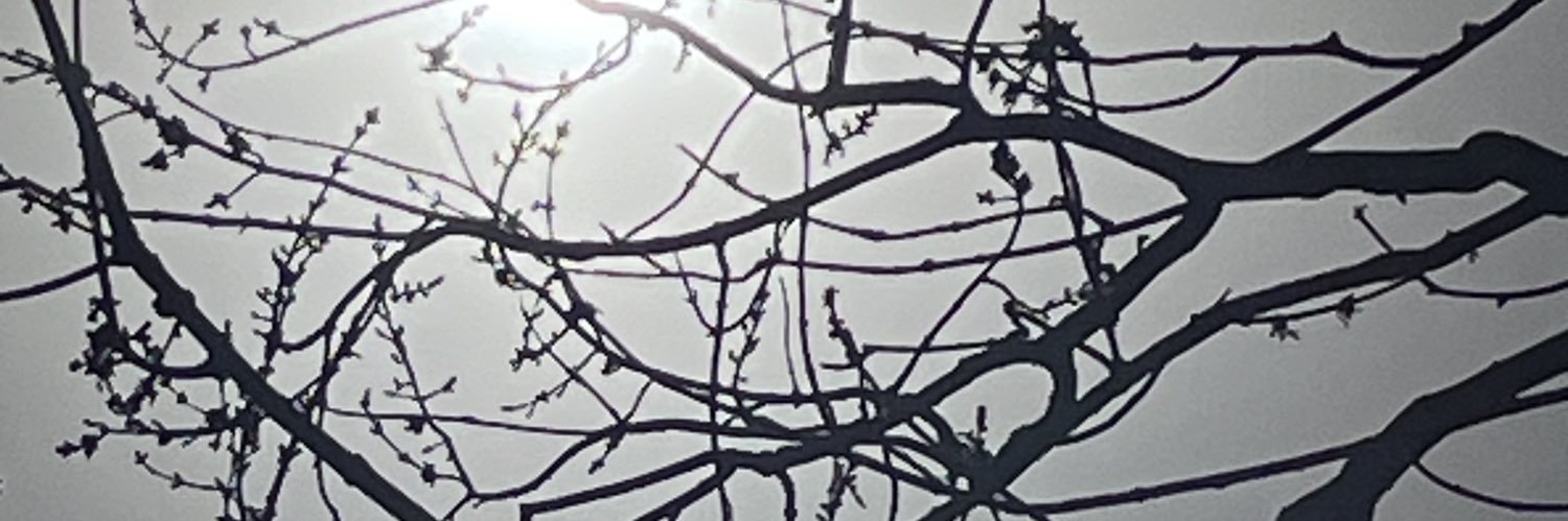 JJShotz's profile banner image