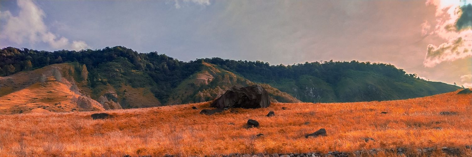 esqweetle's profile banner image