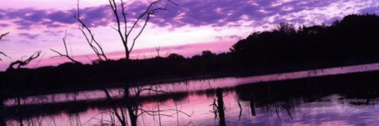 TaylorB33168751's profile banner image