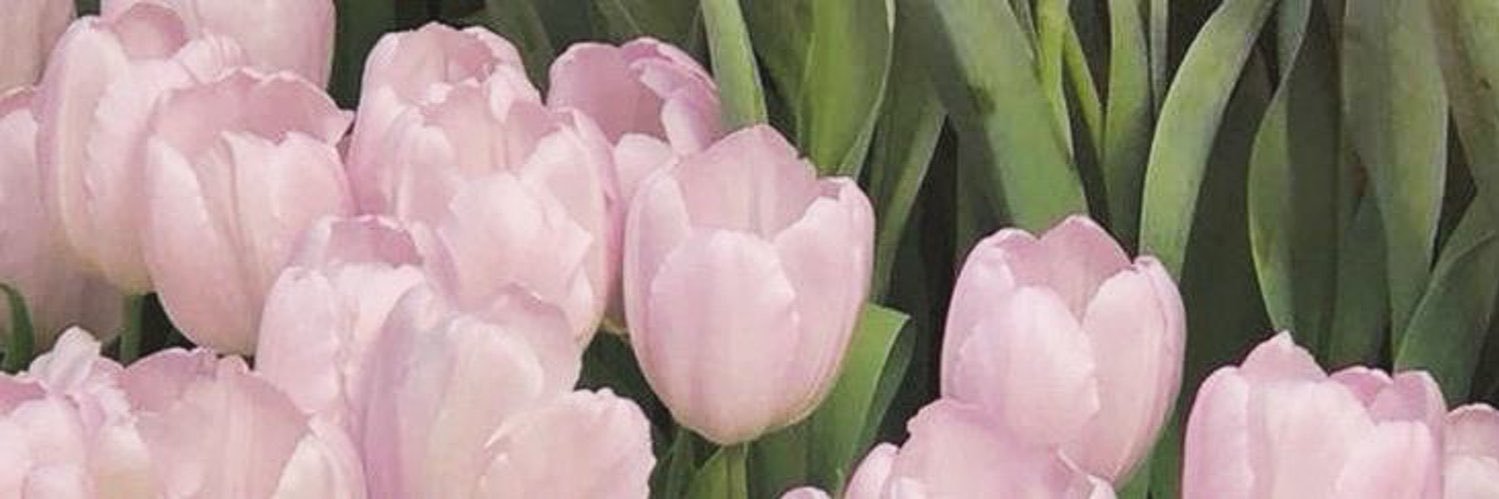 🧸ྀི banner