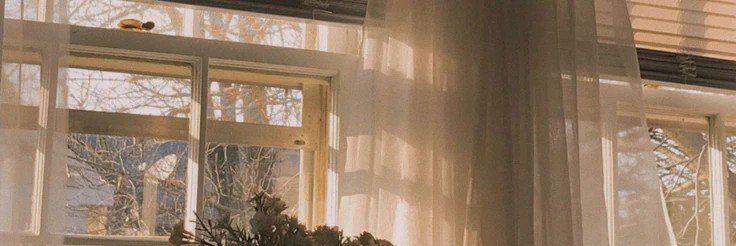 teaiuo's profile banner image