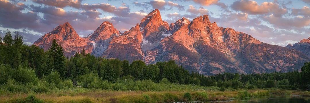 joshkell's profile banner image