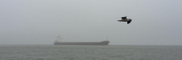 oschiffmann Profile Banner