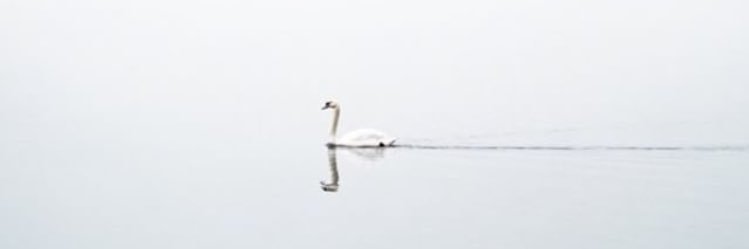 cennetbaspinarr's profile banner image