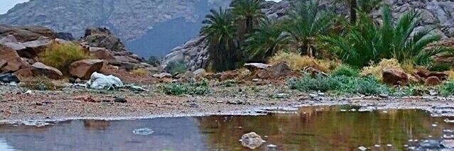 سعود الجميل banner