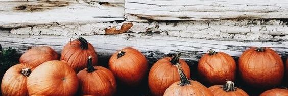 RubcziRenta's profile banner image