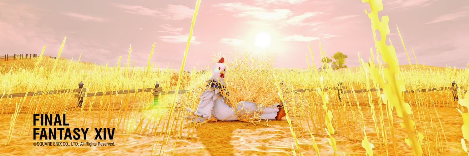 Maru_Flowering's profile banner image