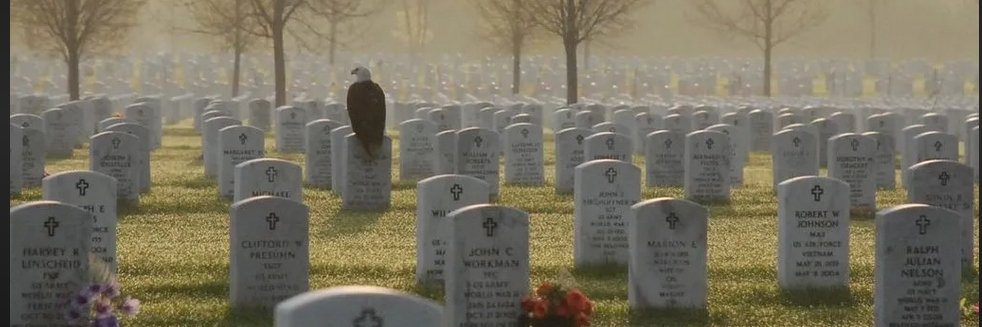 #FreedomFighterReport banner