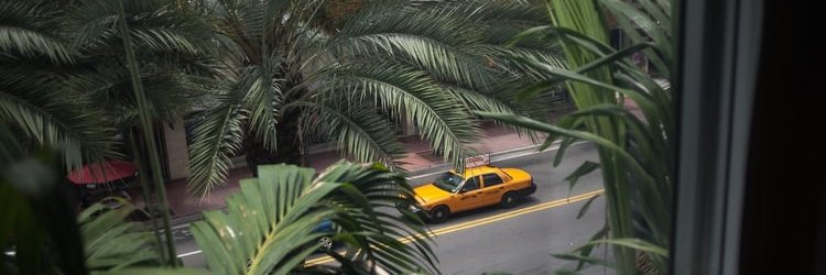 SaraAliceNewton's profile banner image