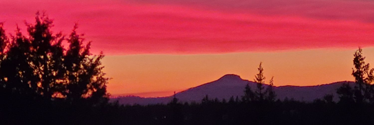 ScoBeavs!! 🇺🇲🦫 banner