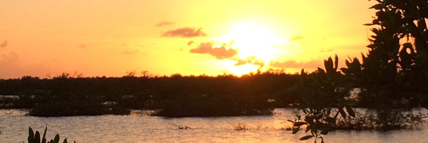 cettypun's profile banner image