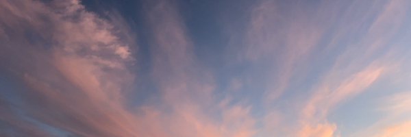 billvanesveld Profile Banner