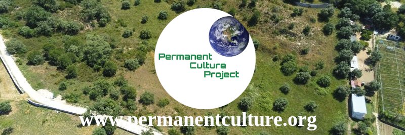 Permanent Culture Project banner