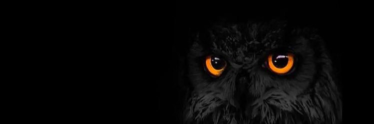 reyafnt's profile banner image