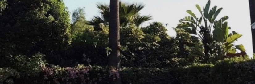 elliott_long42's profile banner image