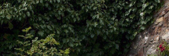 Avav_1900's profile banner image
