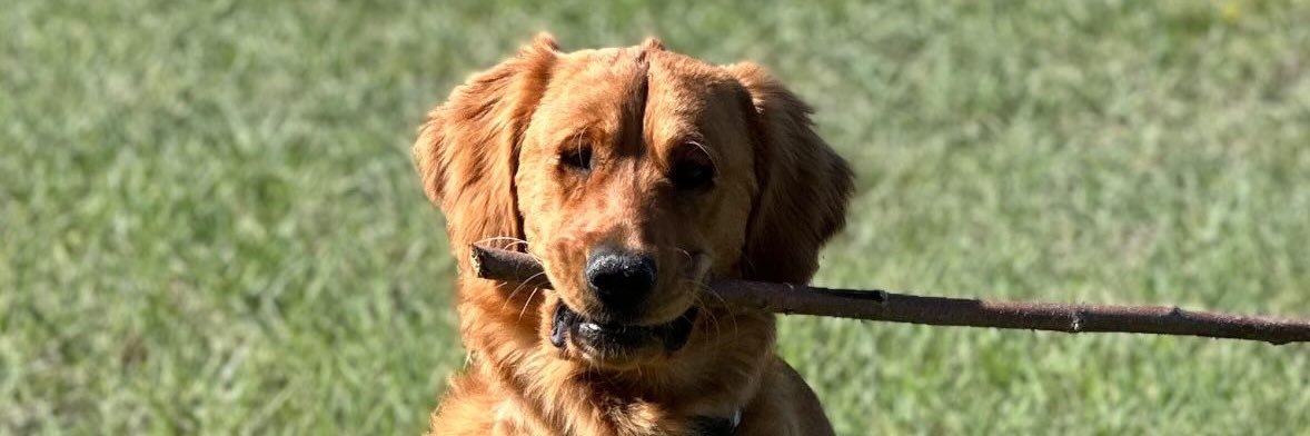 Murph_1293's profile banner image