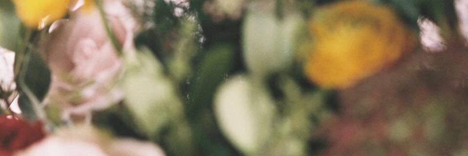 Callie Beale Harper banner