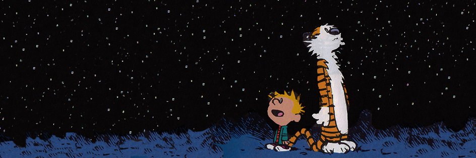 Kyle Fox banner