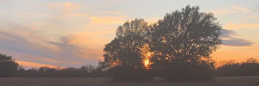 bryant__perry's profile banner image