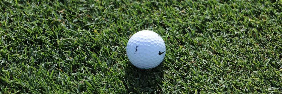 Fernando Garza B. banner