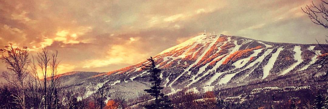 Grace_Whimsy1's profile banner image