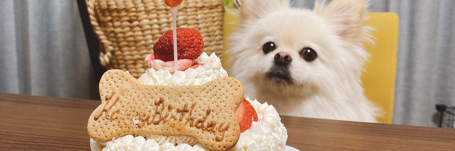 rikuto_san's profile banner image
