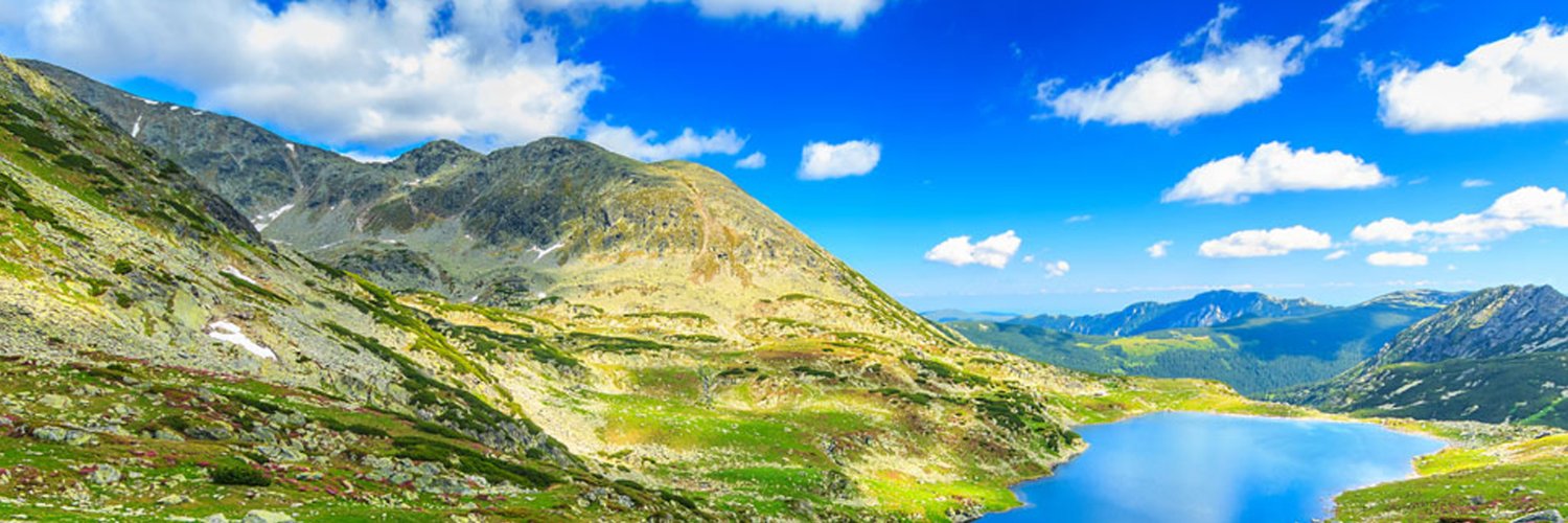 Monte | ETHGas ⛽ banner