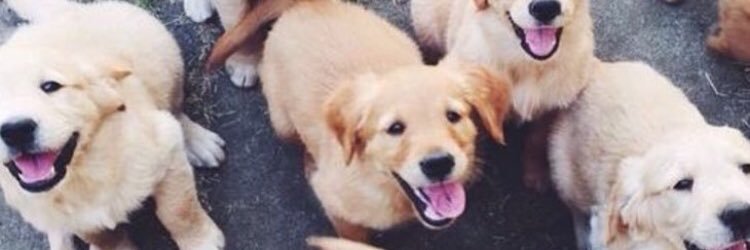 therealmekyle's profile banner image