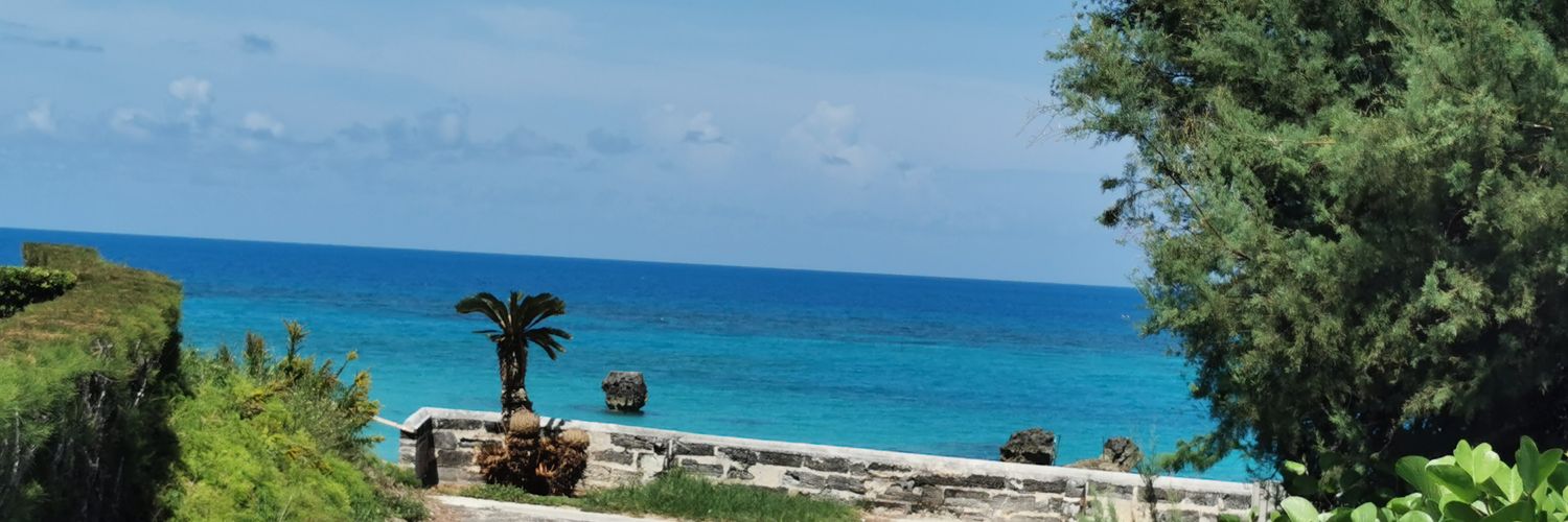 B banner