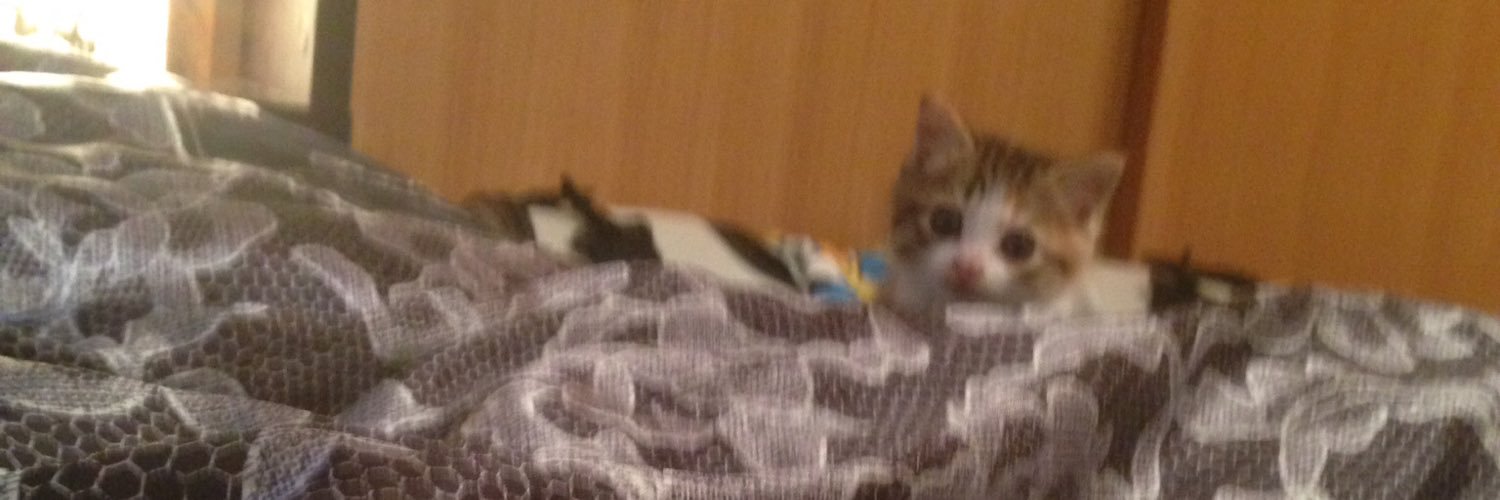 1_nyaaa's profile banner image