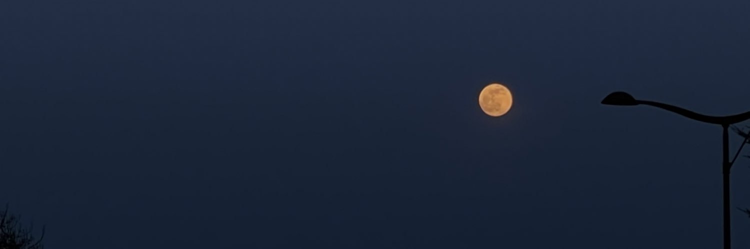 Inès banner
