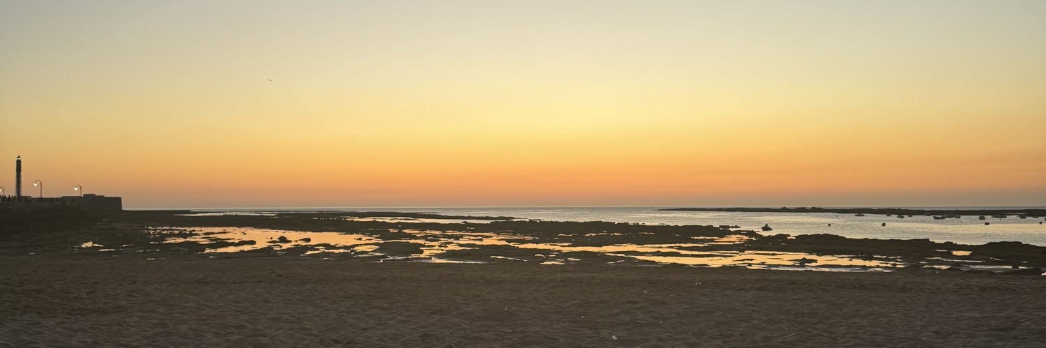 JenniPecci9's profile banner image