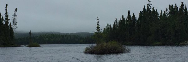 jessvanb Profile Banner