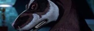 splintey80's profile banner image
