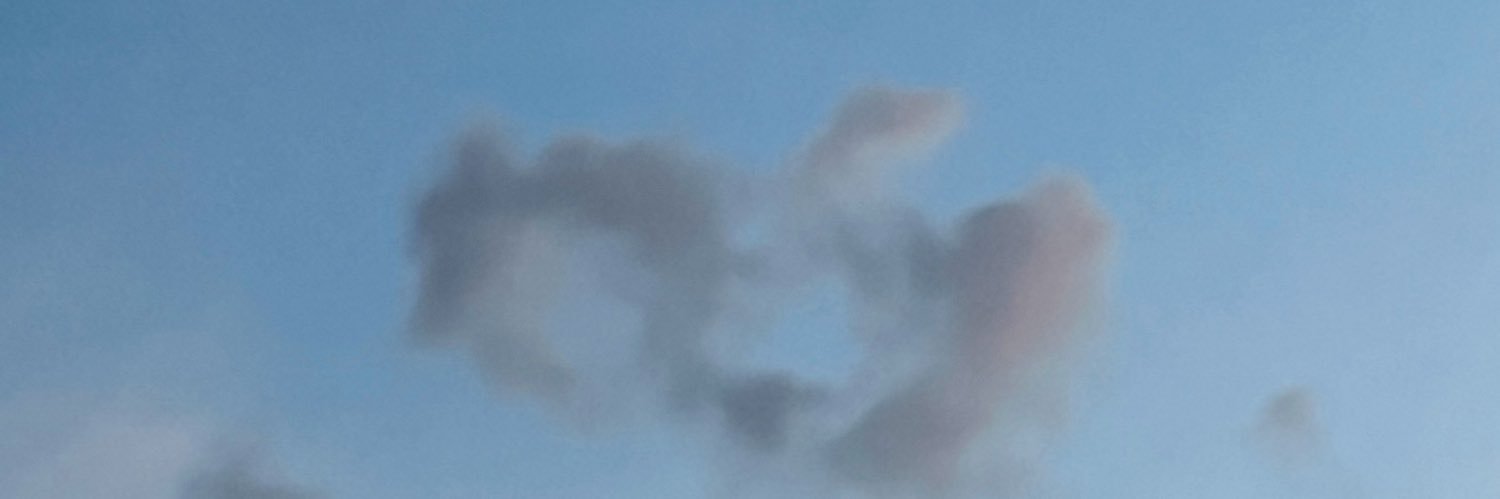 deshicat's profile banner image