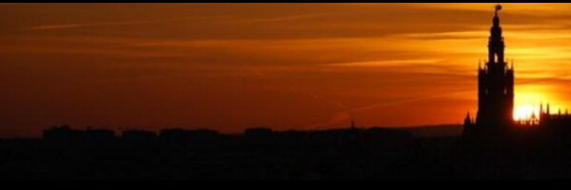 tonidonio's profile banner image