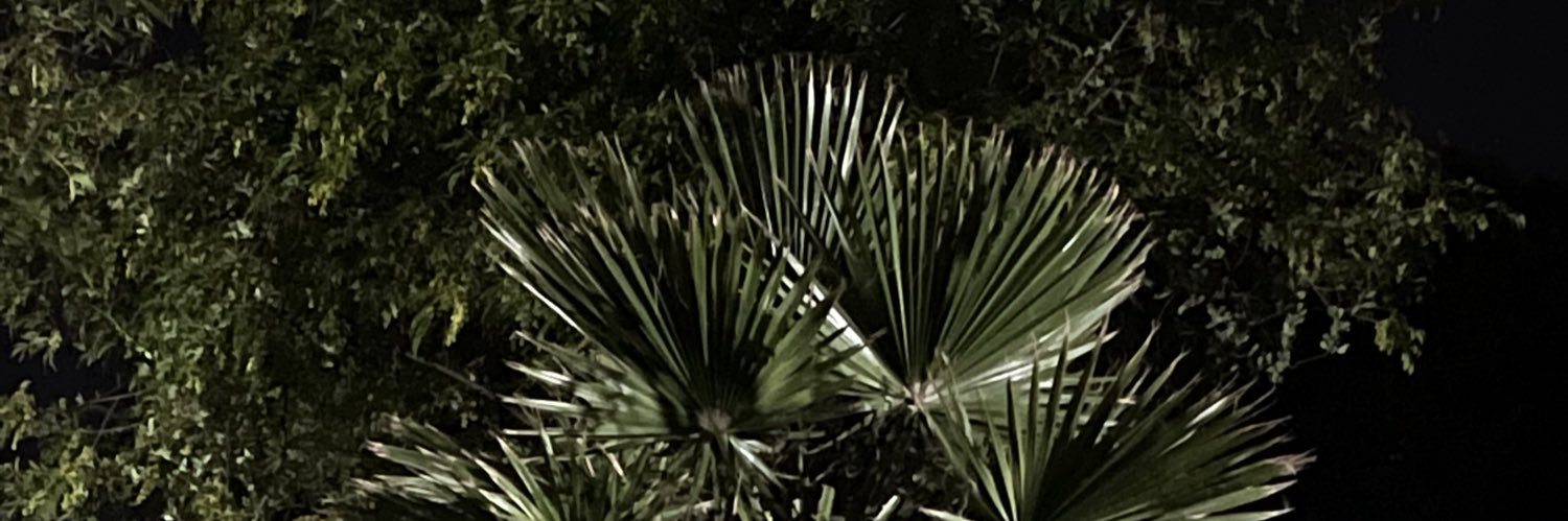 Azucena Cháidez banner