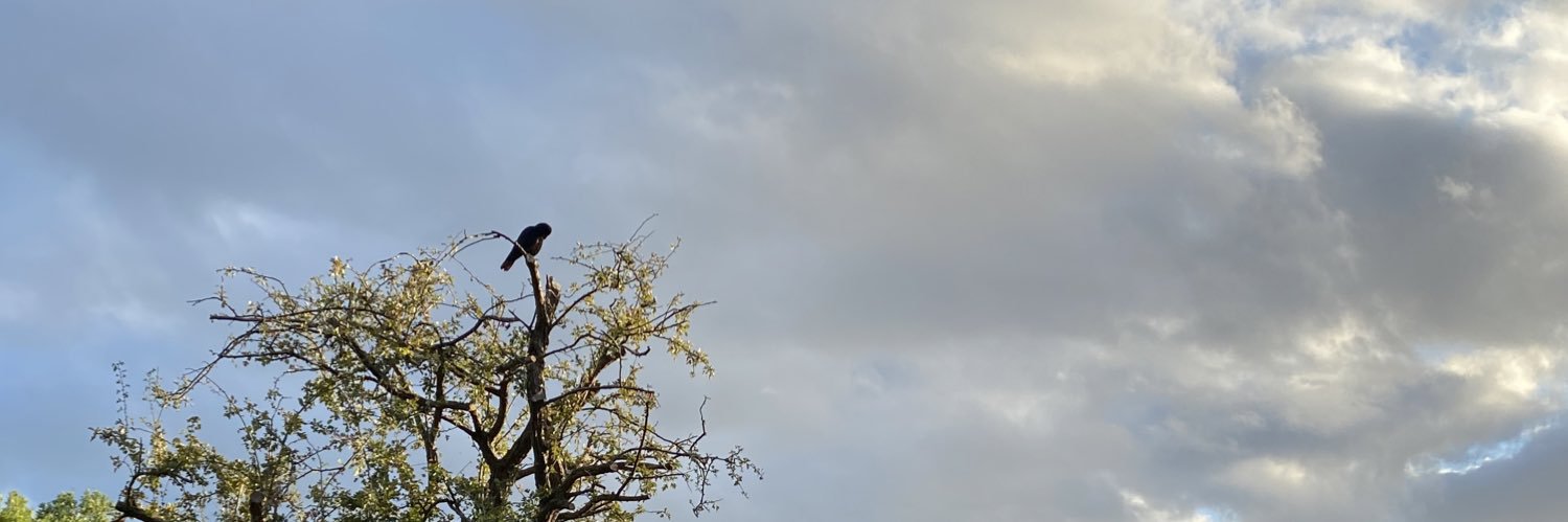 Rocky427's profile banner image