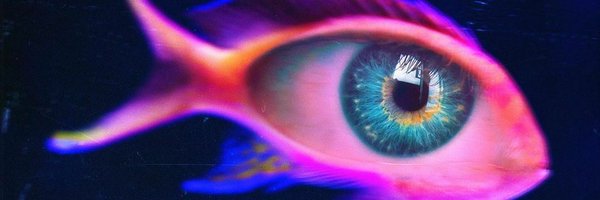 DominateREALITY Profile Banner