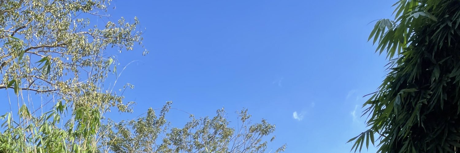 bayntaybata's profile banner image