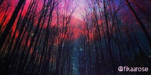 RAPUNZEL DANCE CREW banner