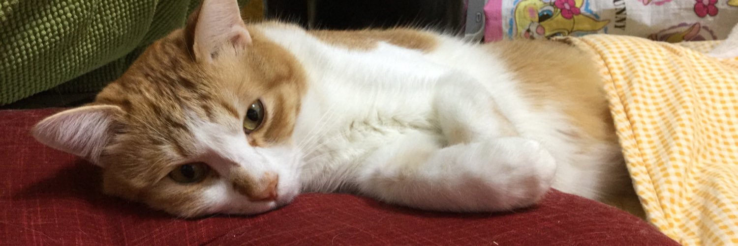 ruthyama's profile banner image